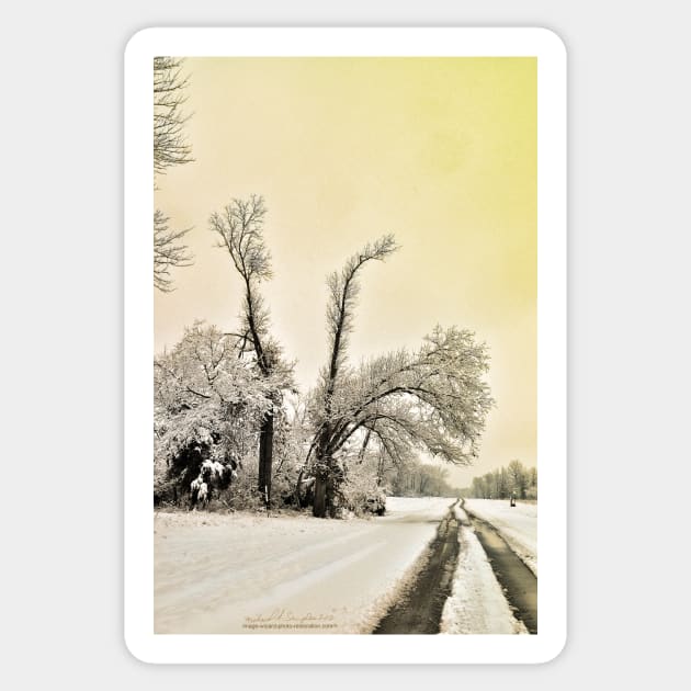 Southern Illinois Winter Scene 9_ Dec 2012 Sticker by michaelasamples